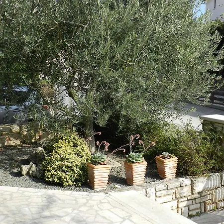 Apartment Lodra